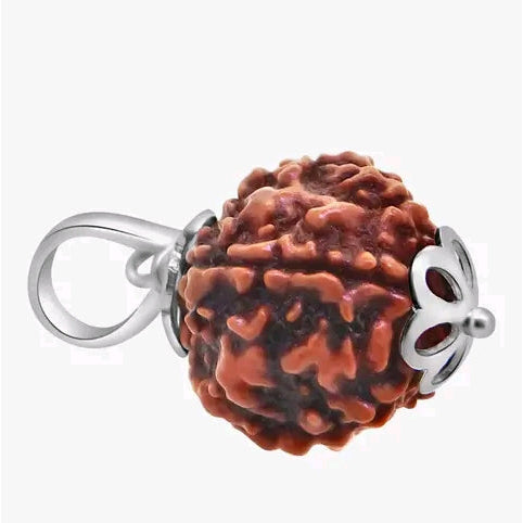 5 MUKHI RUDRAKSHA