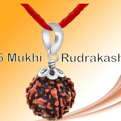 5 MUKHI RUDRAKSHA